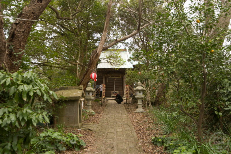 淡島神社の参道