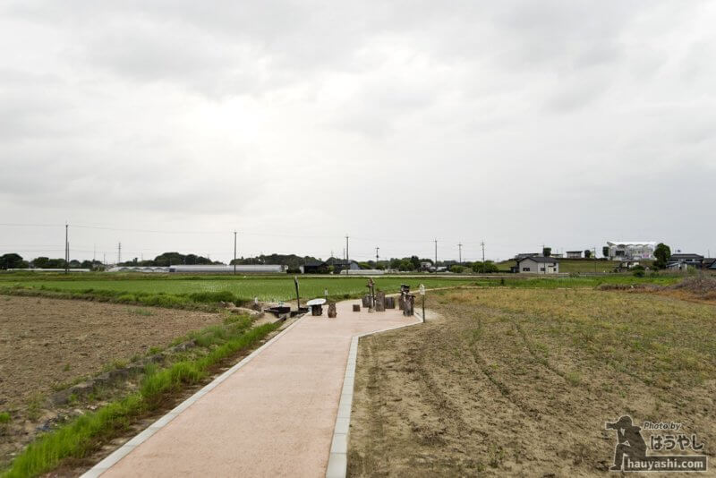 田畑の真ん中に現れる真新しい遊歩道