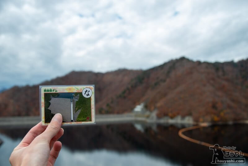 ぐんまダムかるた「奈良俣ダム」