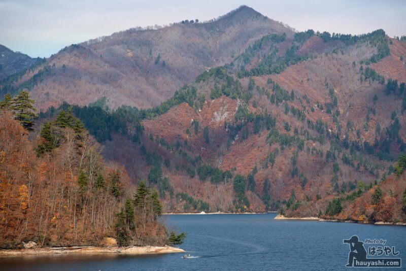 矢木沢ダムの紅葉風景（2020年11月7日）