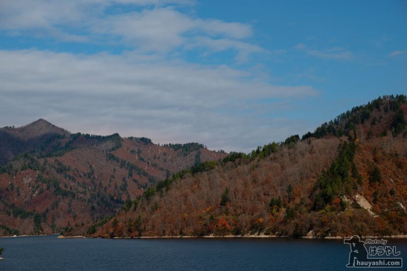 矢木沢ダムの紅葉風景（2020年11月7日）