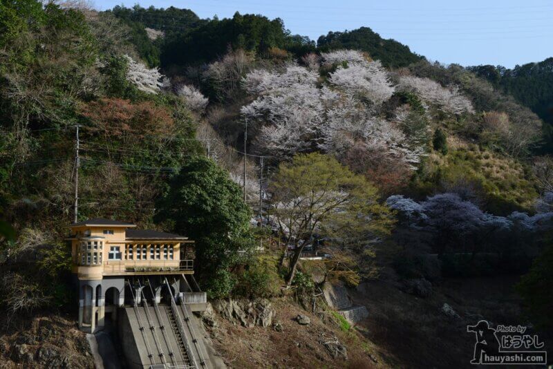 鎌北湖用水管理棟と満開の桜
